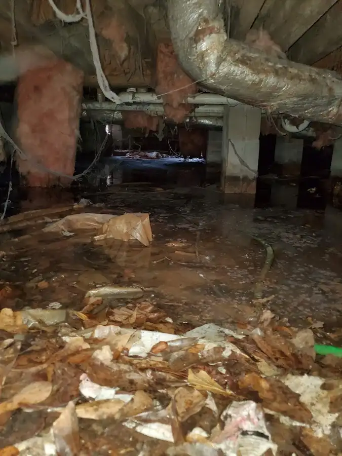 Crawl space flood assessment for Leak Detection & Repair in Spring Valley